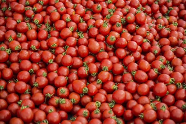 Fresh red tomato at grocery store for food backgrounds concept