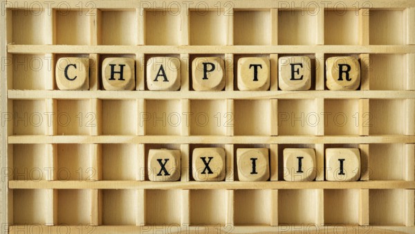 An image of a wooden game with the word chapter twenty three