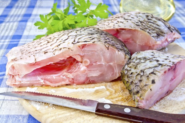 Bream raw sliced pieces on a circular board, parsley, vegetable oil, knife on blue linen tablecloth background