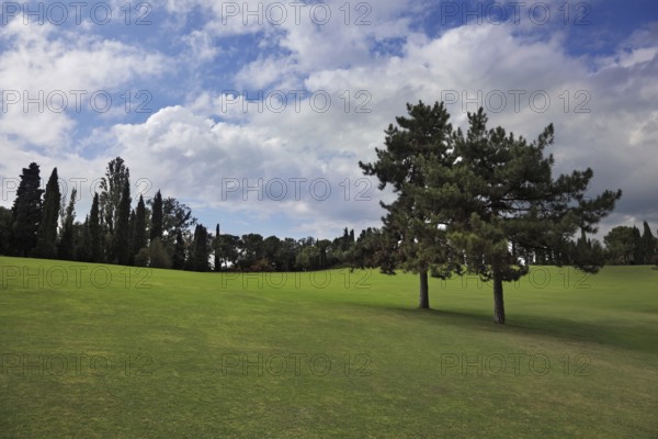 Lovely green grassy slope in a luxurious Italian park-garden Sigurta around Verona