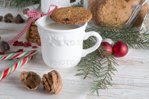 Milk and cookies for santa