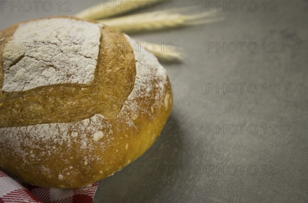 Beautiful Sourdough bread on gray background with dried wheat flower
