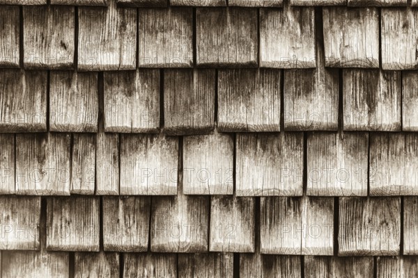 Old wooden planks surface background. shabby sepia texture