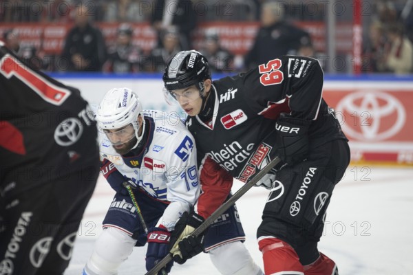 LanxessArena, Cologne, North Rhine-Westphalia, +kh65+, hatch Esposito (Adler Mannheim, #19), PENNY DEL, Kölner Haie- Adler Mannheim on 22/09/2024 at the LanxessArena in Cologne Germany