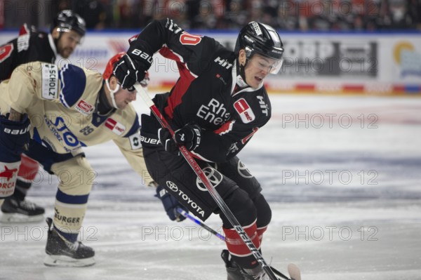 LanxessArena, Cologne, North Rhine-Westphalia, Justin Schütz (Cologne Sharks, #10), PENNY DEL, Cologne Sharks- Schwenninger Wild Wings on 11/10/2024 at the LanxessArena in Cologne Germany