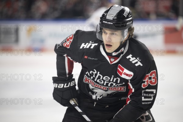 LanxessArena, Cologne, North Rhine-Westphalia, Tim Wohlgemuth (Cologne Sharks, #33), PENNY DEL, Cologne Sharks-EHC Red Bull Munich on 28/01/2025 at the LanxessArena in Cologne Germany