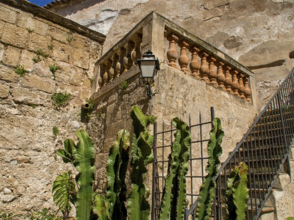 Stone staircase and lantern on an old stone wall, surrounded by green plants and cacti, palma de Majorca, mallorca, balearic islands, spain