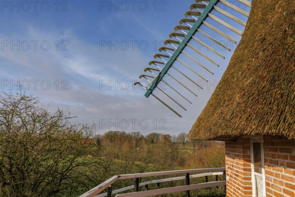 Windmill wing shot with surrounding nature, thatched roof and bright sky, burlage, east frisia, germany