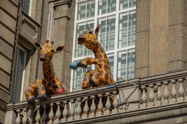 Two humorous giraffe sculptures on a balcony of a municipal building in front of large windows, Helsinki, Finland, Europe