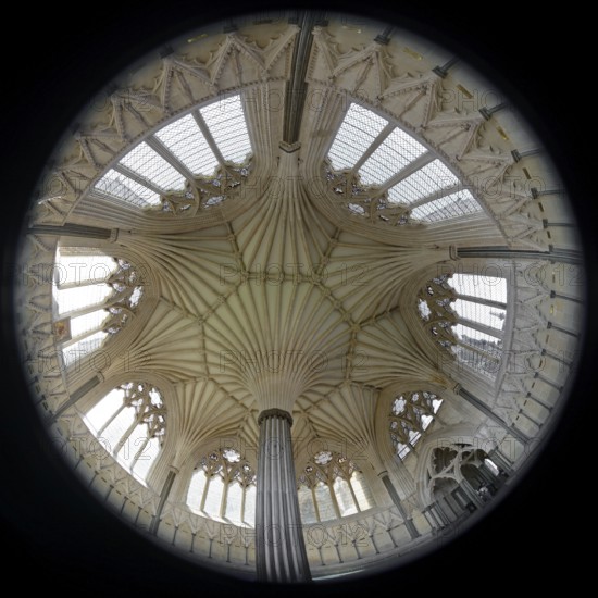 Fisheye 360, interior view, Chapter House, Wells Cathedral, Wells, England, Great Britain
