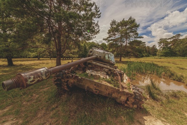 Abandoned tank in a meadow under a cloudy sky, surrounded by trees and grass, sprayed with graffiti, M41 Bulldog, Lost Place, Brand, Aachen, North Rhine-Westphalia, Germany, Europe