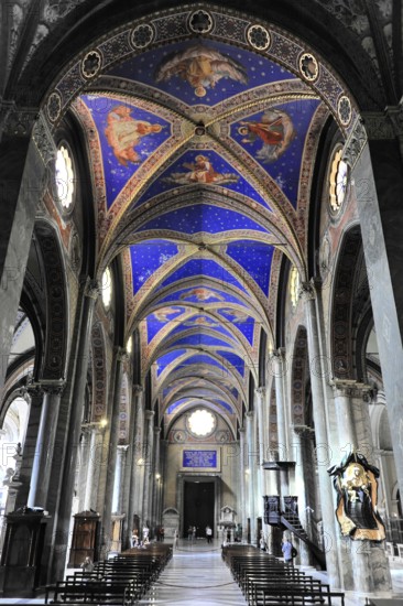 Interior view of the Gothic basilica, construction began at the end of the 13th century, Santa Maria sopra Minerva, Rome, Lazio region, Italy, Elongated Gothic nave with ornate ceiling paintings, Rome, Lazio, Italy, Europe