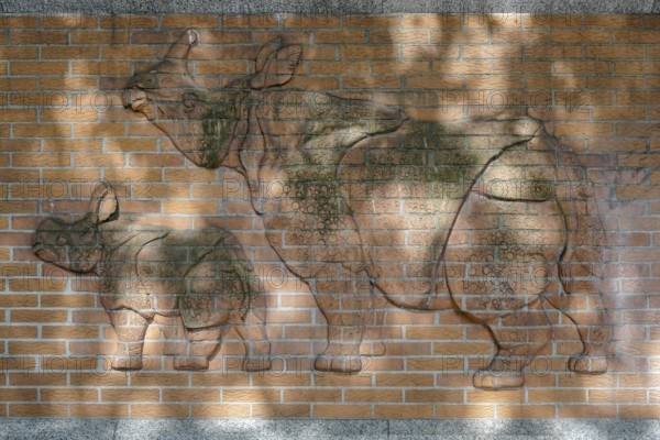 Berlin, Germany, 2014. Rhinoceros relief on the wall outside the zoo in Berlin, Europe