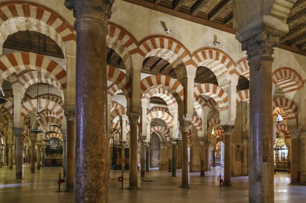 Mosque Cathedral of Cordoba also known as the Great Mosque of Cordoba is regarded as one of the most accomplished monuments of Moorish architecture, Spain. Interior of prayer hall