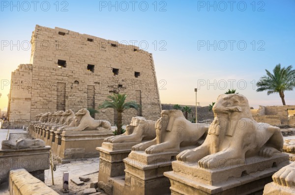 Facade of Karnak Temple at sunny sunrise in Luxor, Egypt, Africa