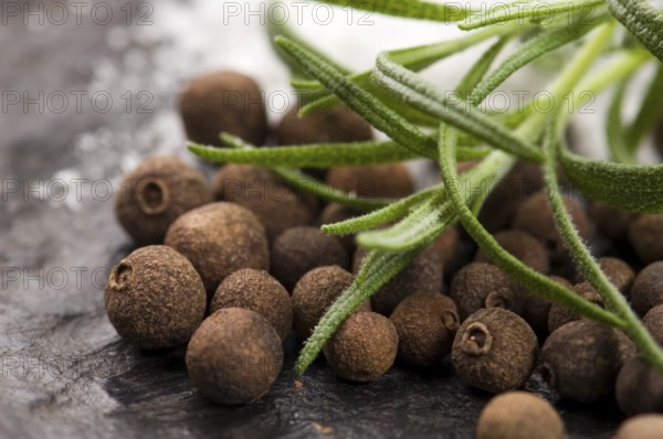 Allspice with fresh rosemary