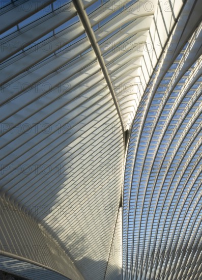 Liège, Liège-Guillemins railway station, design 2009 Santiago Calatrava, station concourse