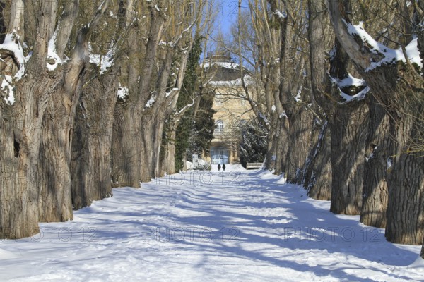 Snow-covered palace garden of Hohenheim Palace, University of Hohenheim, Stuttgart, Baden-Württemberg, Germany, Europe