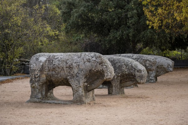 Bulls of Guisando, Vetón sculptural group, 4th and 3rd centuries BC, Iron Age, Ávila, province of Ávila, autonomous community of Castilla y León, Spain, Europe
