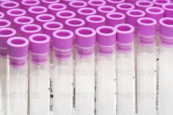 Covid-19 outbreak blood test. Close up view of empty test tubes for blood samples of Coronavirus patients, on a rack