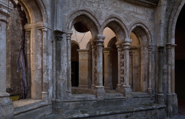 Valmagne near Montpellier, abbey, cloister, well house