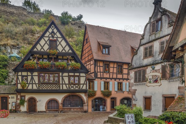 Street with historical half-timbered houses in Kaysersberg, Alsace, France, Europe