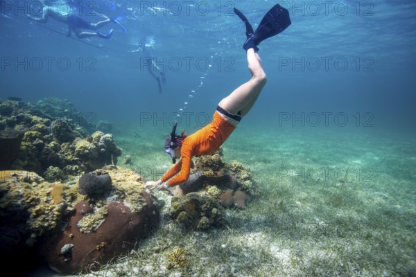 A snorkeler exploring a coral reef under clear blue water, showcasing vibrant marine life, scientific diver, taking a coral tissue sample for research, coral research, coral conservation, hard coral, coral reef, patch reef, Bahamas, Eleuthera, sea grass, Miami University scientific diver, spear fishing for lionfish an invasive species, Central America