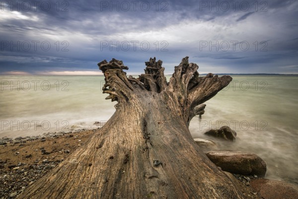 The Baltic Sea coast on the island of Rügen
