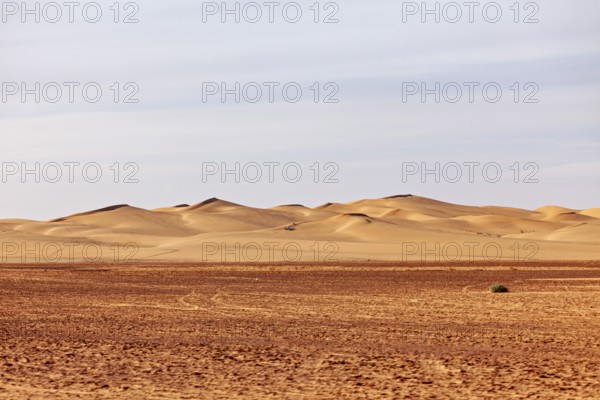 Vast desert landscape with gentle sand dunes under a bright sky, The sand dunes of the Sahara in Algeria