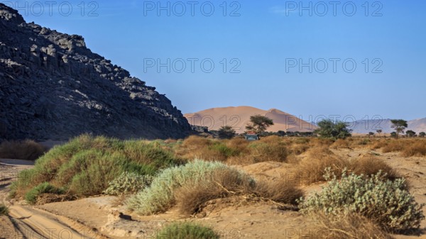 Rough desert landscape with dunes in the background and scattered vegetation, The landscape of the Sahara in Algeria