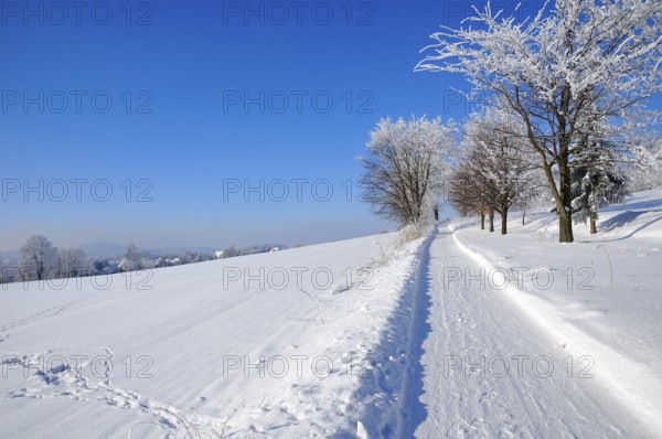 Winter day in the upper lusatia