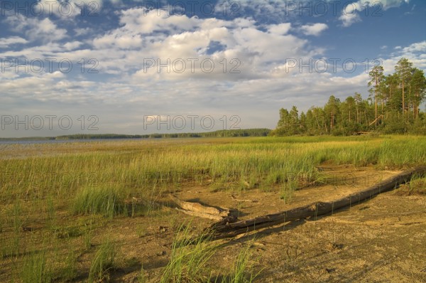 Russia, Karelia, the Chirka-Kem river.Bottom of the lake, uncovered because of the falling water level, Europe