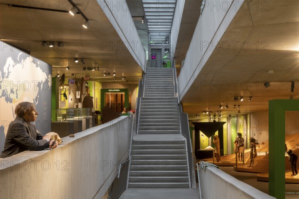 Mettmann, Neanderthal Museum, 1996 after a design by Günter Zamp Kelp, Julius Krauss and Arno Brandlhuber, exhibition with Stammbusch on the right