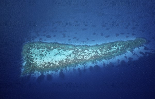 Aerial View of Coral Reefs at Maldives, Aerial View of Coral Reefs at Maldives, land photography, Maldives, Maldives, Indian Ocean, Felidu Atoll, Indian Ocean, aerial photo, aerial photograph, aerial photography, aerial photo, exterior, exterior shot, bird's eye view, from above, flying, flight, island, islands, landscape, scenery, holiday, travel, journey, nature, tourism, holiday destination, long-distance travel, long-distance trip, holiday, sea, coast, lagoon, panorama, view, adventure holiday, dream island, palm island, dream holiday, Idyll, quiet, lonely, paradise, paradisiacal, tropical, Asia, South, Male, North, Meemu, Ari, Atoll, mulaku, felidhu, Felidu, Vaavu, gan, Kaafu, Alifu, Aerial View, aeration, shot, photo, Birds eye perspective, high-angle, flight, air, flying, over, Outdoor, Island, Islands, Palm, Sun, Landscape, holiday, holidays, travel, Nature, Coast, travelling, tourism, vacation, leisure, Ocean, Lagoon, View, Sight, Paradise, paradisal, dream, lonely, calm, rela...