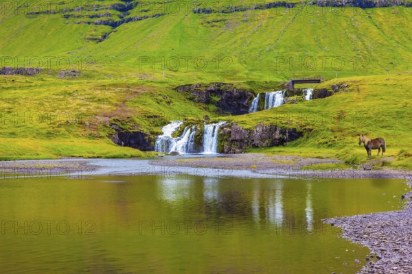 Mountains and waterfalls. Cloudy day in Iceland. Cascade Falls on the green grassy hill