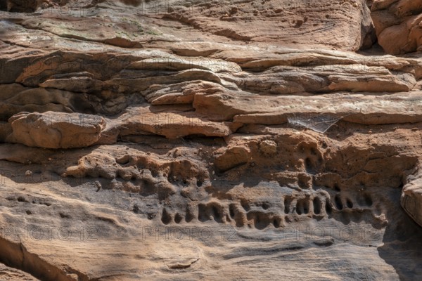 Detail of the Geiersteinfelsen, Geierstein, sandstone, Palatinate Forest, Bruchweiler-Bärenbach, Rhineland-Palatinate, Germany, Europe