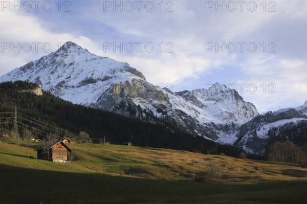 Green meadow and snow covered mountains Spitzhorn and Arpelistock