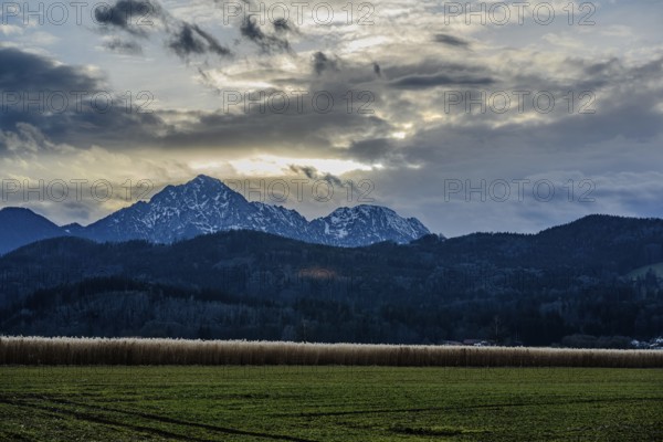 Fields in the foreground with mountains and cloudy sky at dusk, Ainring, Upper Bavaria