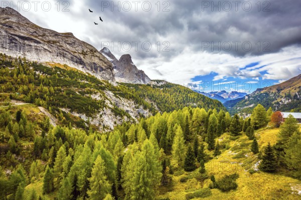 Autumn day. The shores of the glacial lake in the Dolomites. On the mountain slopes there is a coniferous forest
