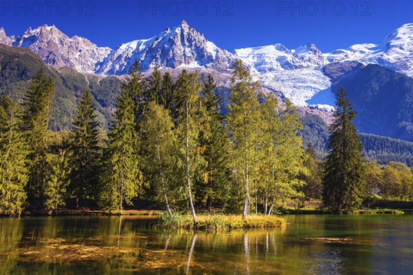Early fall in Shamoni, Haute-Savoie. France. The snow-covered Alps and evergreen fir-trees are reflected in lake
