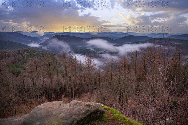 Landscape shot with cloudy sky and fog in the valley. View from a rock in the middle of forest and nature. Viewpoint in the morning in the Palatinate Forest, Germany, Europe