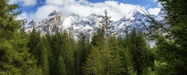 Swiss Alps banner mountain view of alpine as snow-capped mount peaks and pine trees background, Switzerland, Europe
