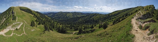 Between Hochgrat and Gelchenwanger Kopf, Nagelfluhkette, Allgäu