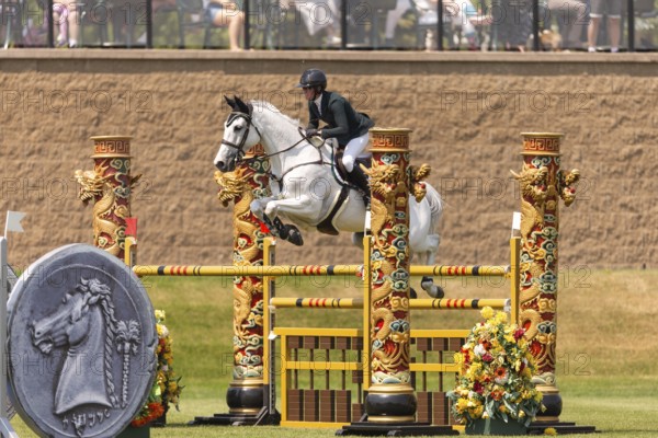 Hillary Scott of Australia riding Oaks Milky Way, compete in the 1.60m Grand Prix during The Continental international competition at Spruce Meadows, in Calgary, Canada, North America