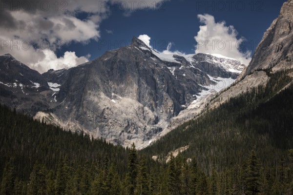 The Canadian Rocky Mountains as seen from inside Yoho National Park, in British Columbia, Canada, North America