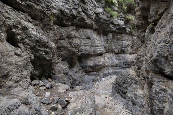 Imbros Gorge, Crete, Greece, 23 May 2025 < english> Imbros Gorge, Crete, Greece, May 23, 2025, Europe