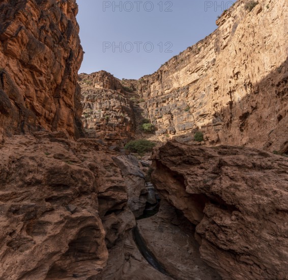 Hiking through the iconic Amtoudi canyon in the Anti-Atlas, Morocco, Africa
