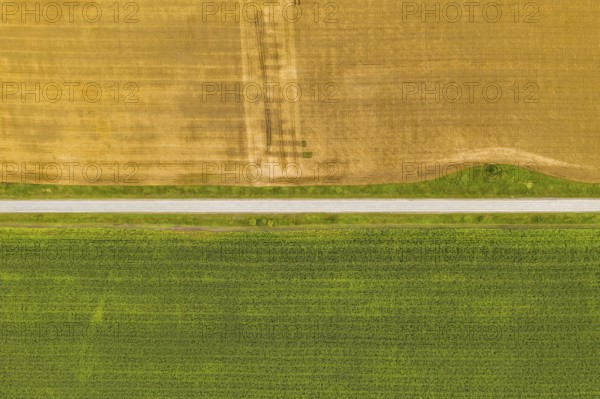 Aerial top view drone photography of a land with sown green fields in countryside