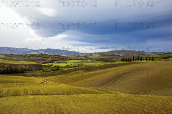 Rural farms. Smooth rows of plowed fields and meadows. Picturesque hills of the legendary Tuscany. Agritourism. Beautiful Italy. The concept of active, rural and photo tourism