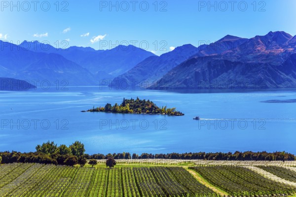 Fabulously beautiful Lake Wanaka. In the middle of the lake is a wonderful little island. Exotic journey to the South Island of New Zealand. Concept of active and ecological tourism
